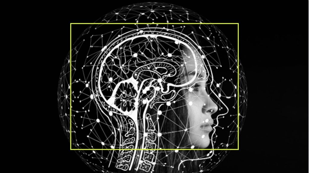 Les Emotions au travail – Episode 8